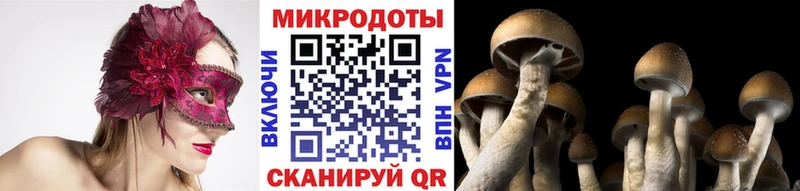 цены   Цимлянск  Галлюциногенные грибы MAGIC MUSHROOMS 